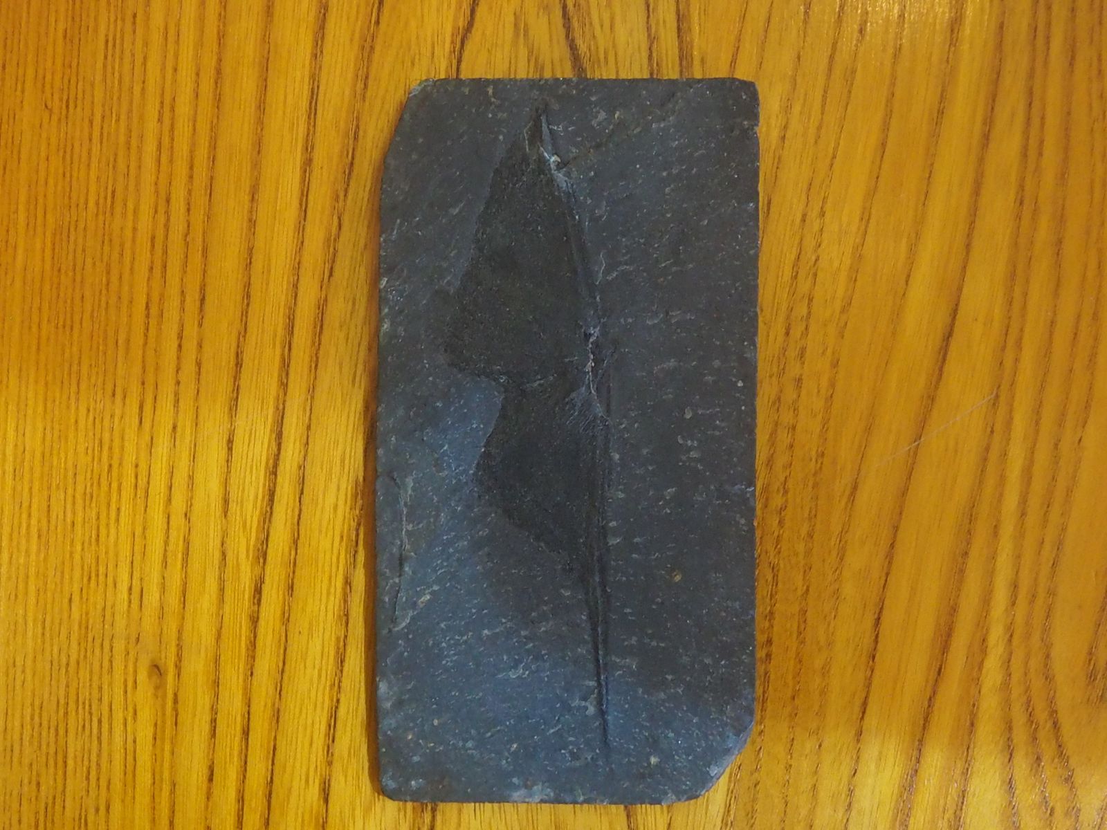 Fossil Delabole Butterfly, Stone photo furniture