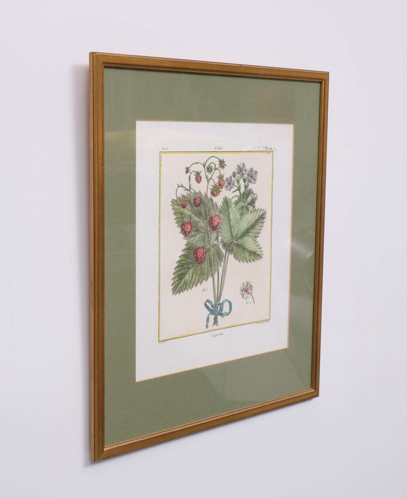 Set Elisabeth Haussard '1700 1804' 18 Century Hand Colored Engraving photo 1206.52