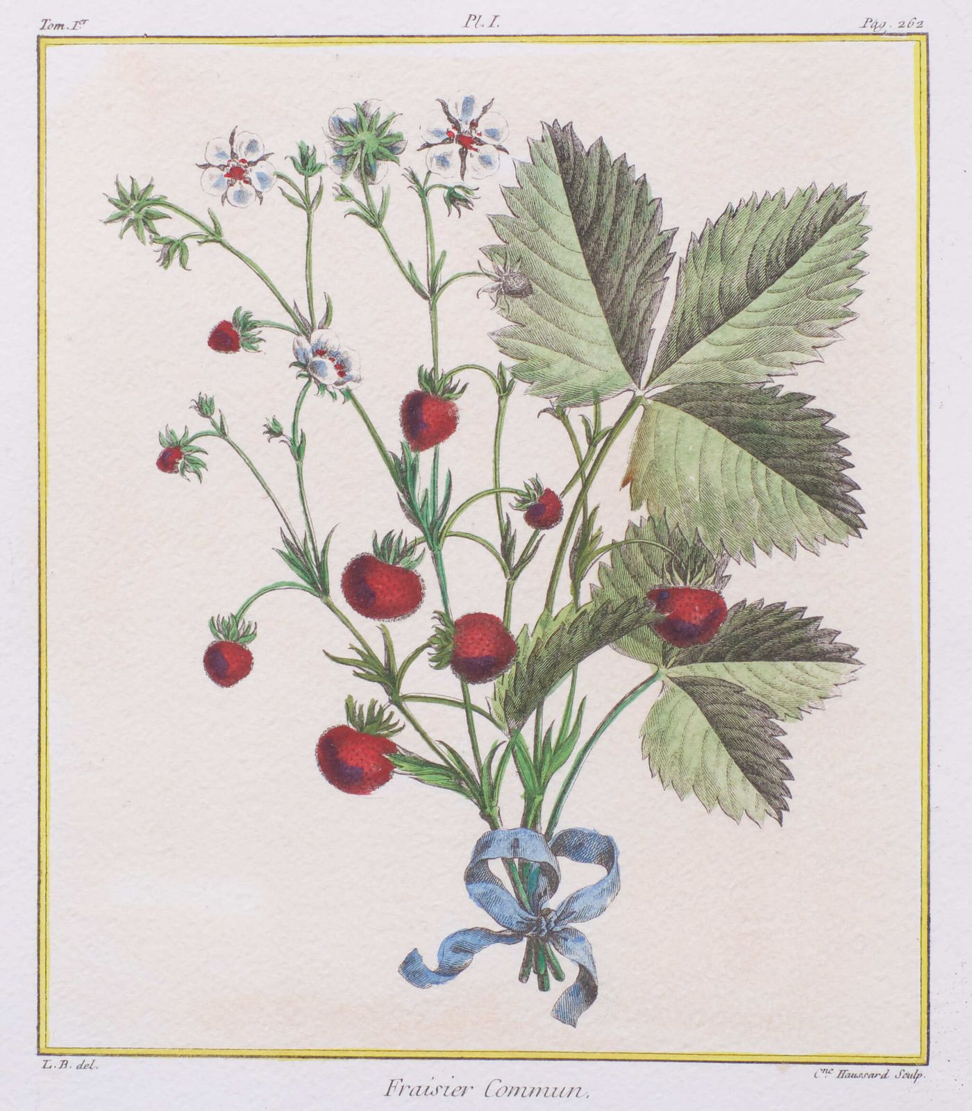 photo vintage Set Elisabeth Haussard '1700 1804' 18 Century Hand Colored Engraving