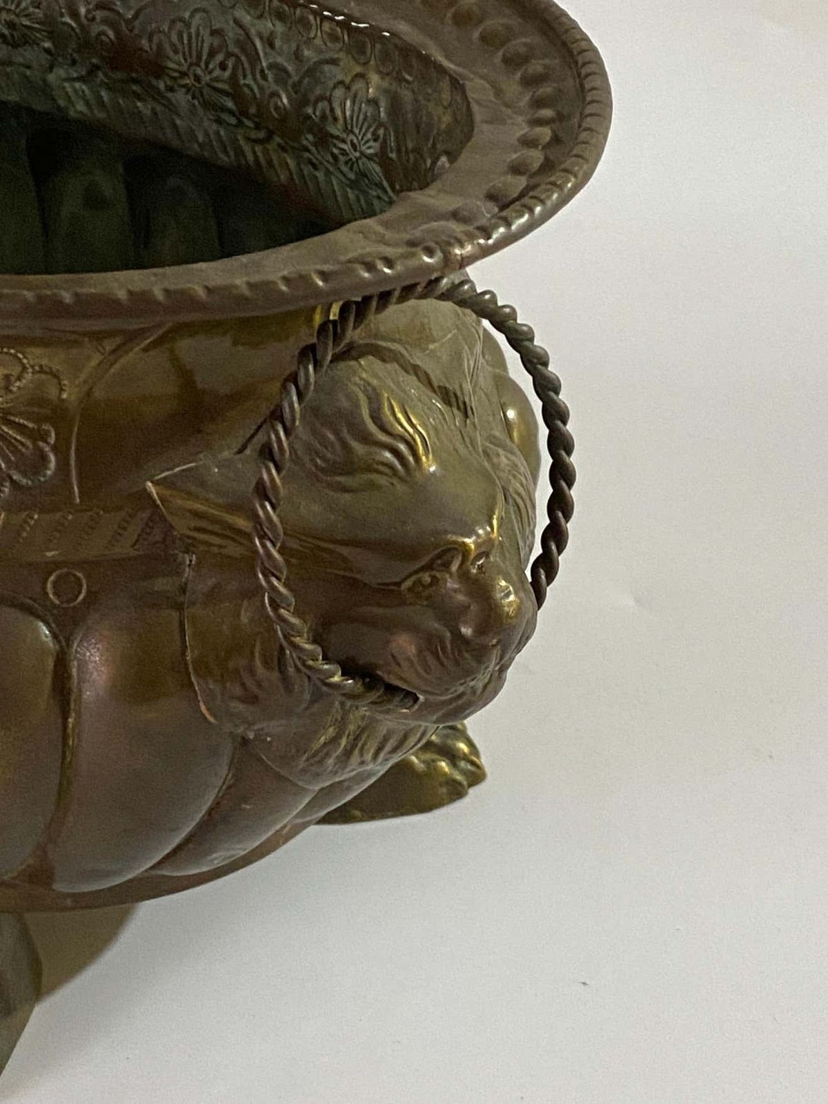 French Jardinière In Polished Brass With Handles In The Shape Of A Ring Of Lions, 19th Century photo Home Decor