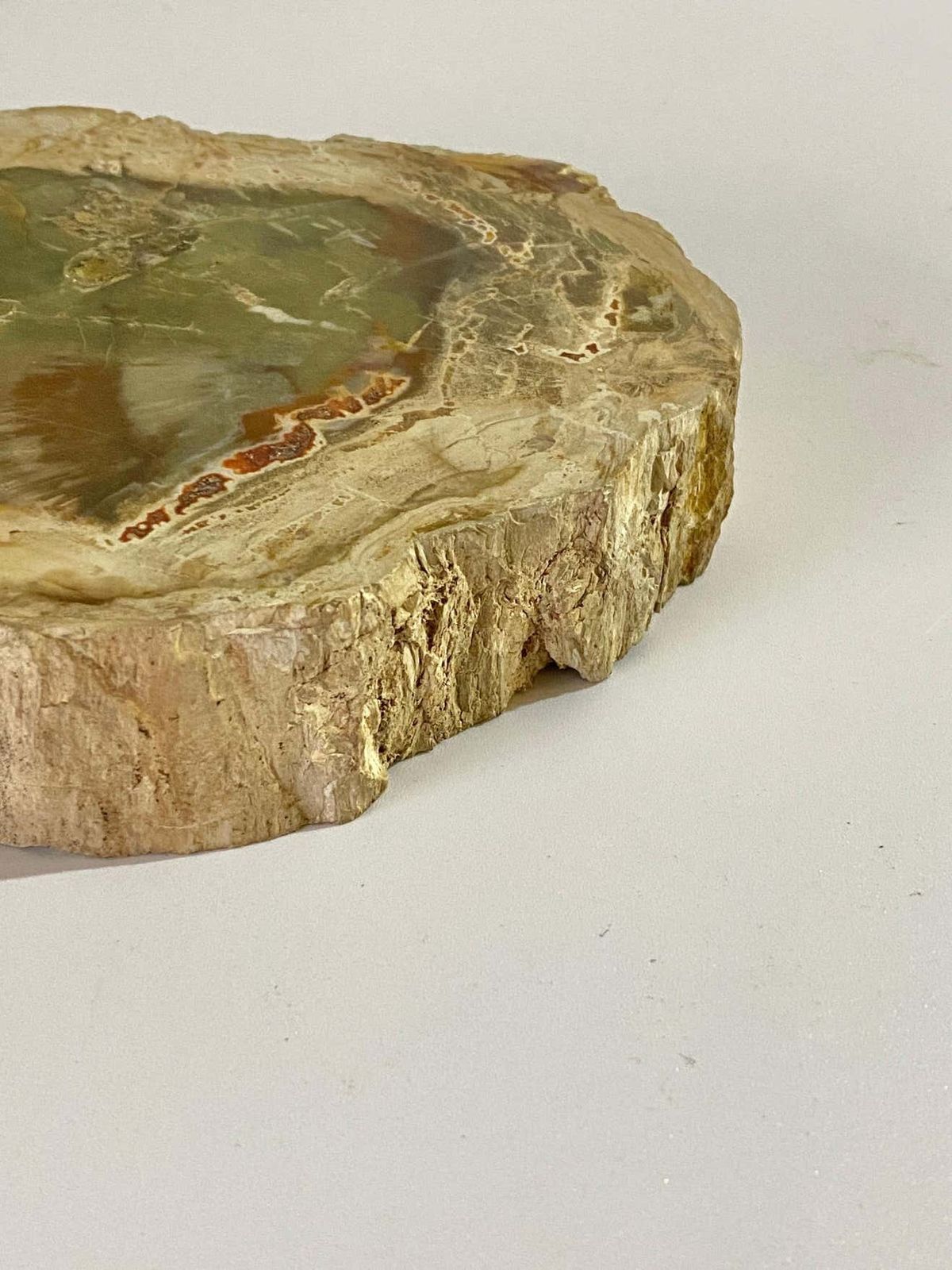 Petrified Wood Ashtray, 15th Century And Earlier, Organic Modern photo Home Decor