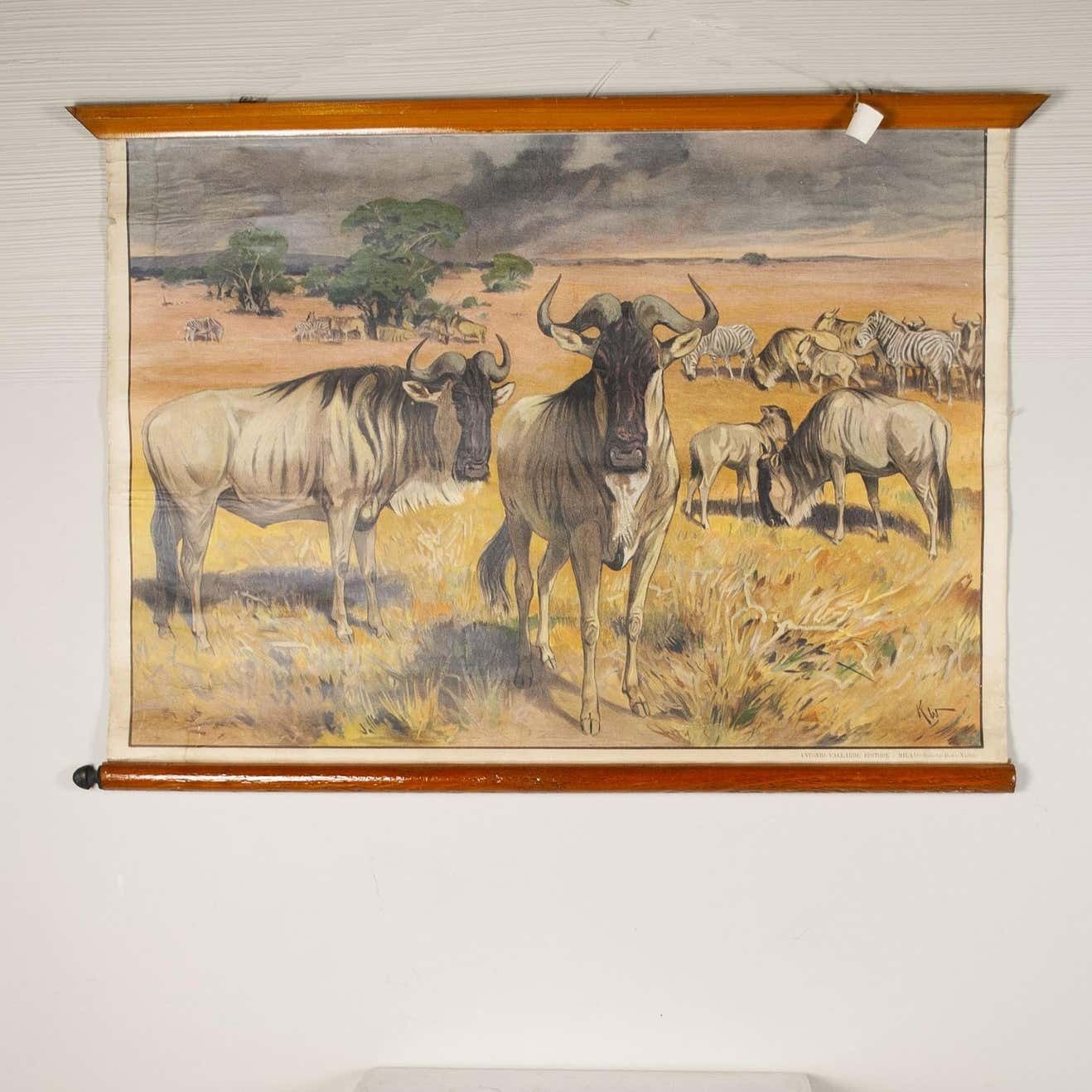 Antonio Vallardi Muflon Linen Canvas Print photo furniture