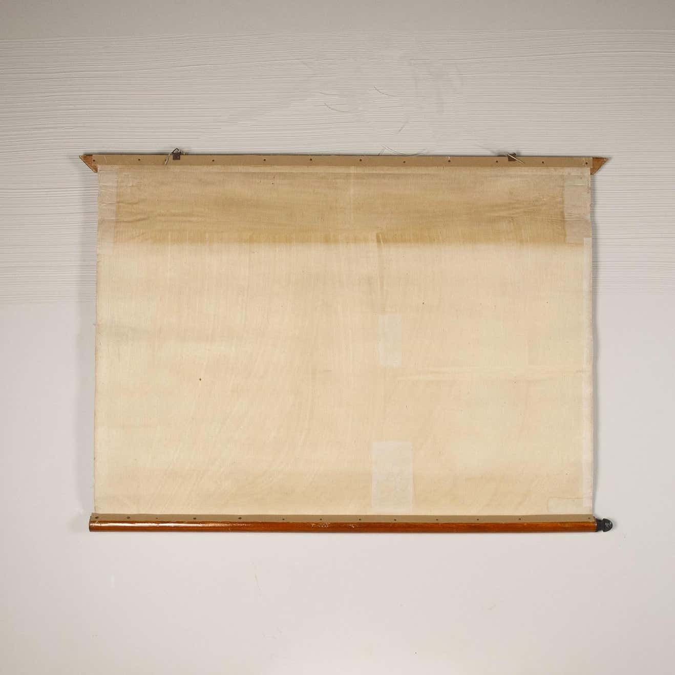 Antonio Vallardi Muflon Linen Canvas Print photo 443.92