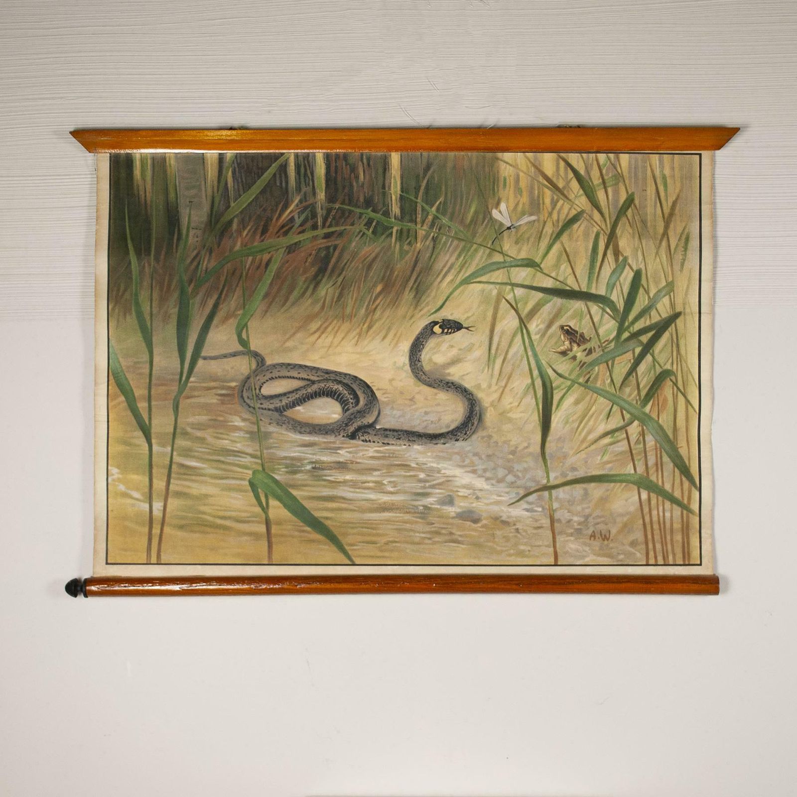 Antonio Vallardi Snake Linen Canvas Print photo furniture