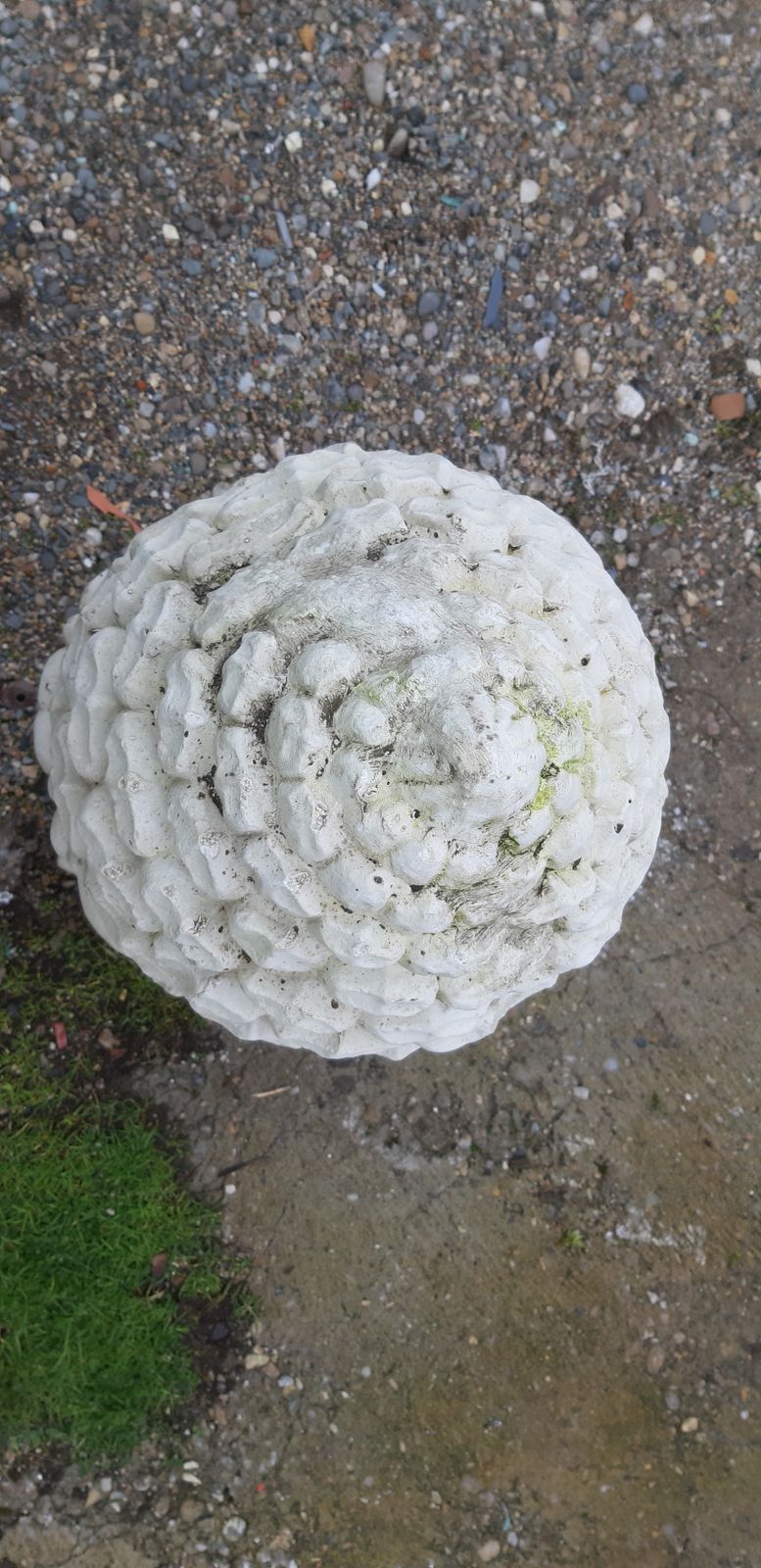 photo vintage Pair Of Pine Cones In Reconstituted Stone