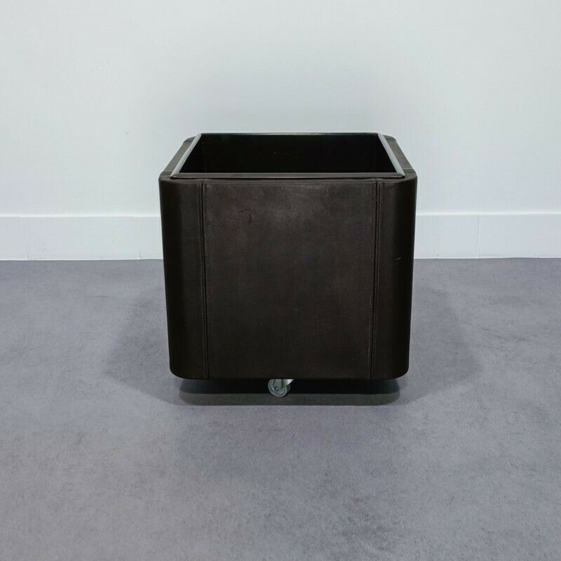 De Sede Leather Planter Ds47 Series photo vintage
