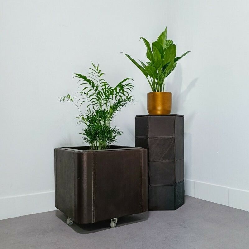 photo furniture De Sede Leather Planter Ds47 Series