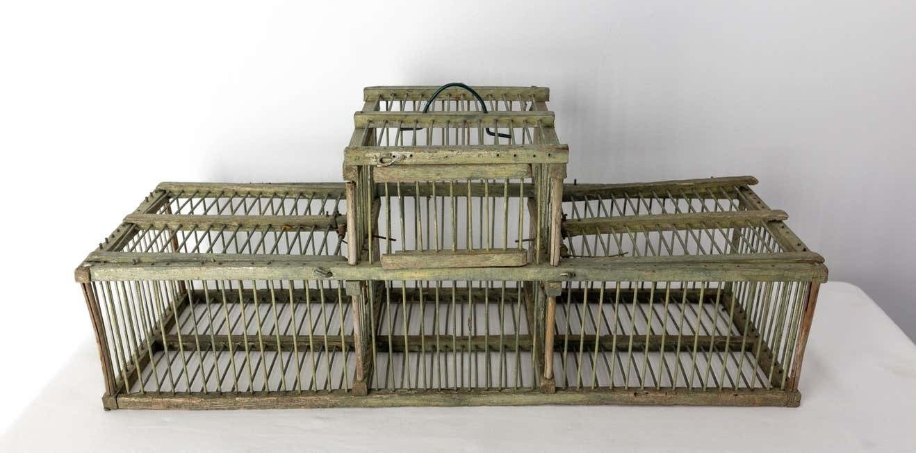 French Country Antique Beech & Iron Bird Cage, Circa 1900 photo furniture
