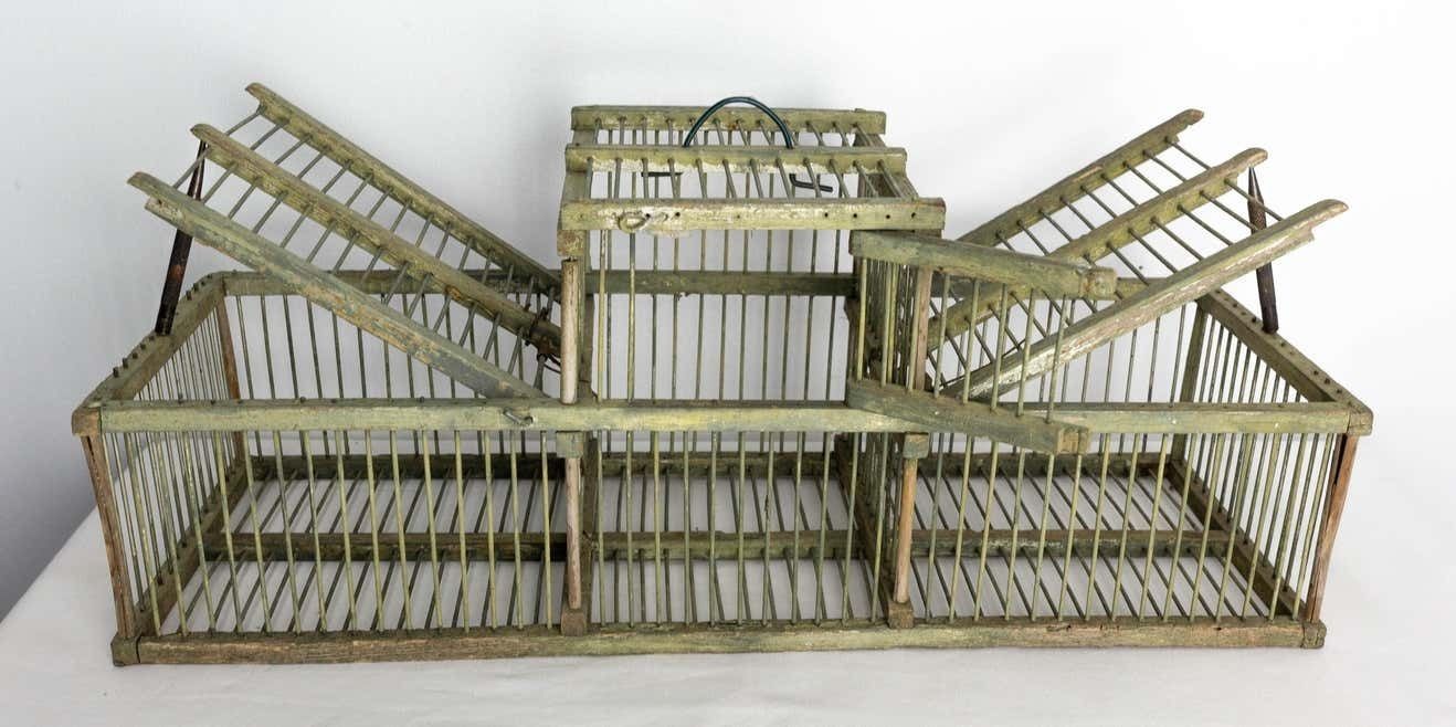 French Country Antique Beech & Iron Bird Cage, Circa 1900 photo vinterior