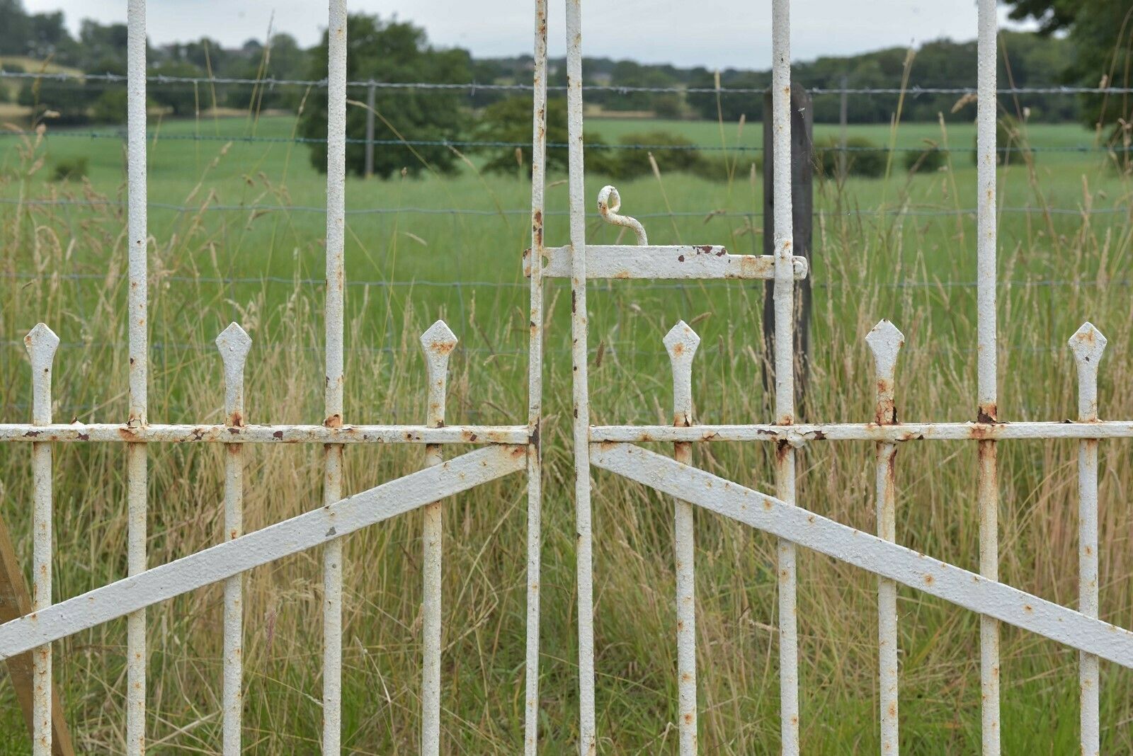 photo buy Antique Iron Driveway Gates, 1800s