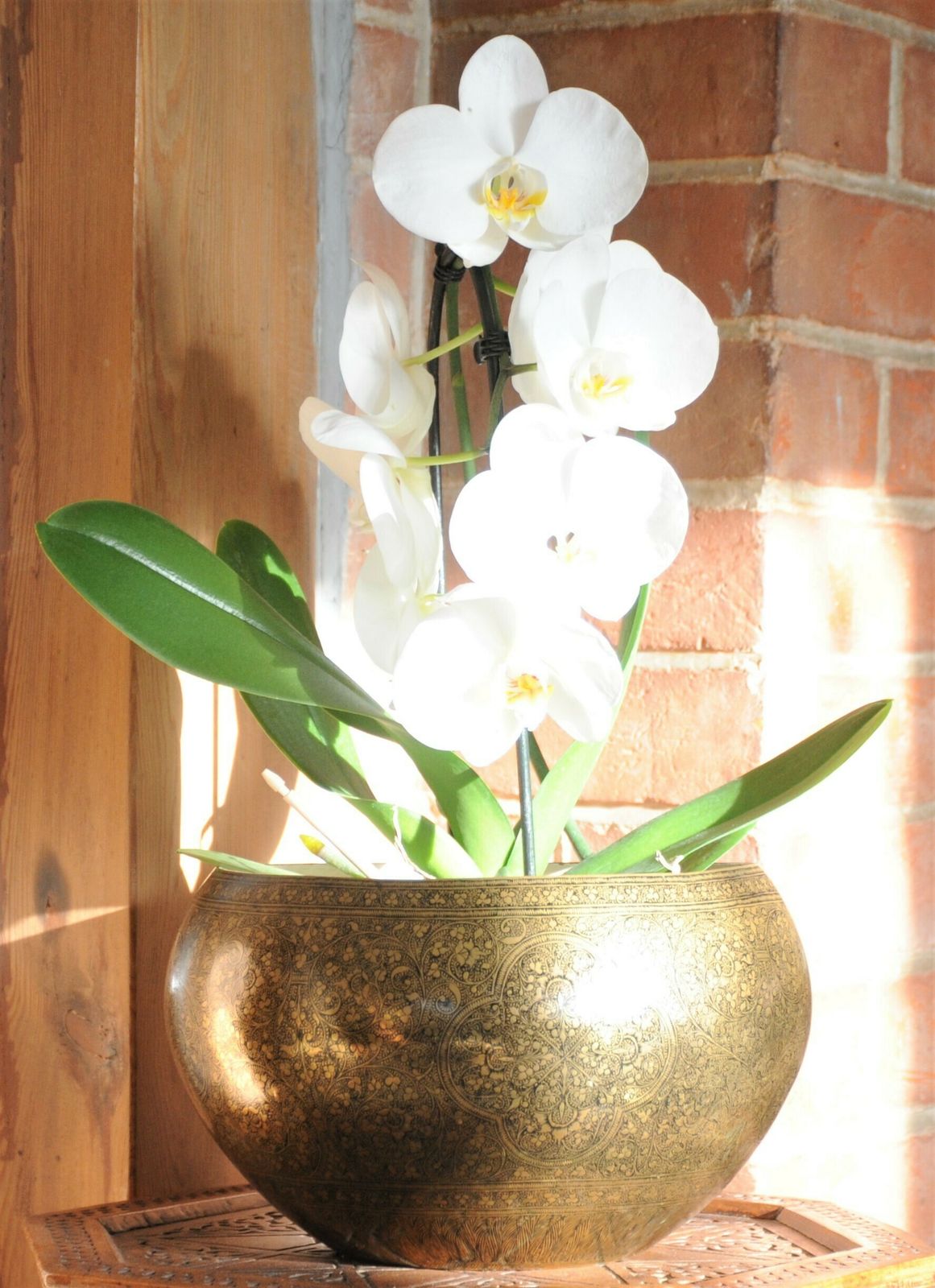 Home Decor Antique Anglo Indian Engraved And Enamelled Brass Planter Pot photo