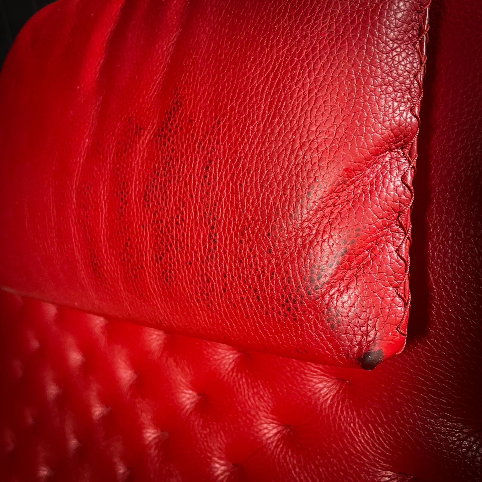 Meubels De Sede Ds 51 Fauteuil – Zwitserland photo