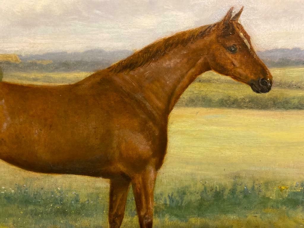 Oil Painting   19th Century Portrait Of A Chestnut Horse Benedict Angell Hyland photo vinterior