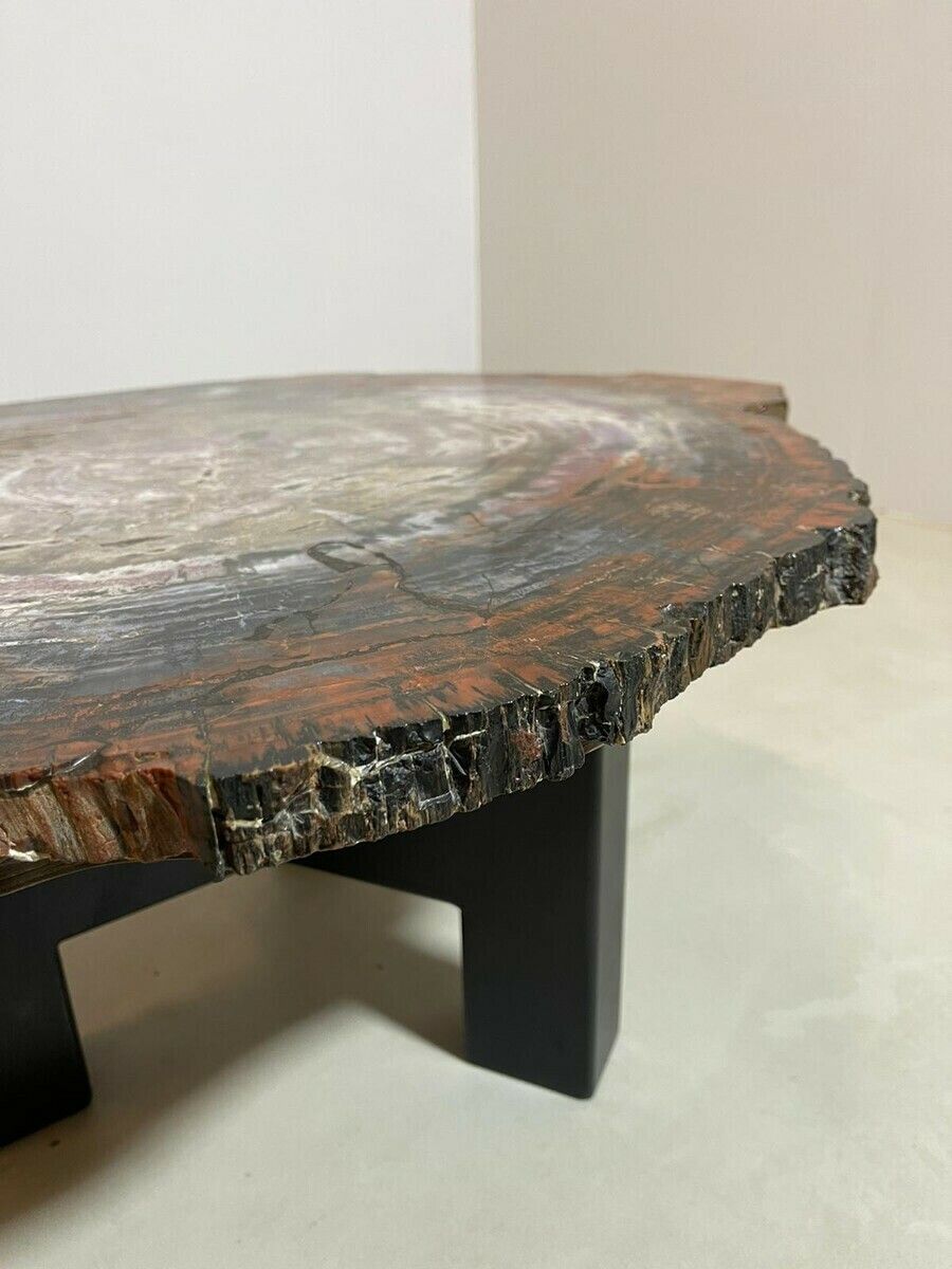 Mid Century Modern Petrified Wood Coffee Table photo Furniture