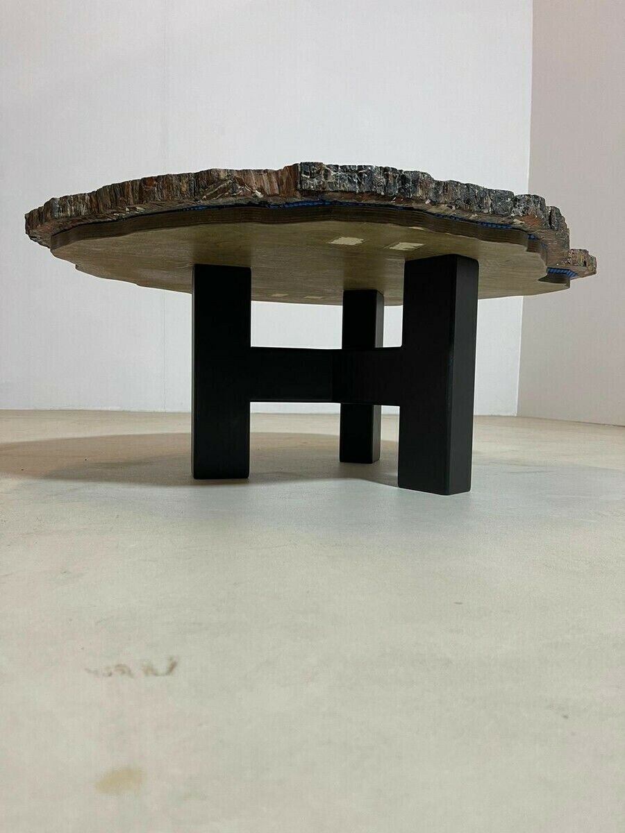 3260.0 Mid Century Modern Petrified Wood Coffee Table photo