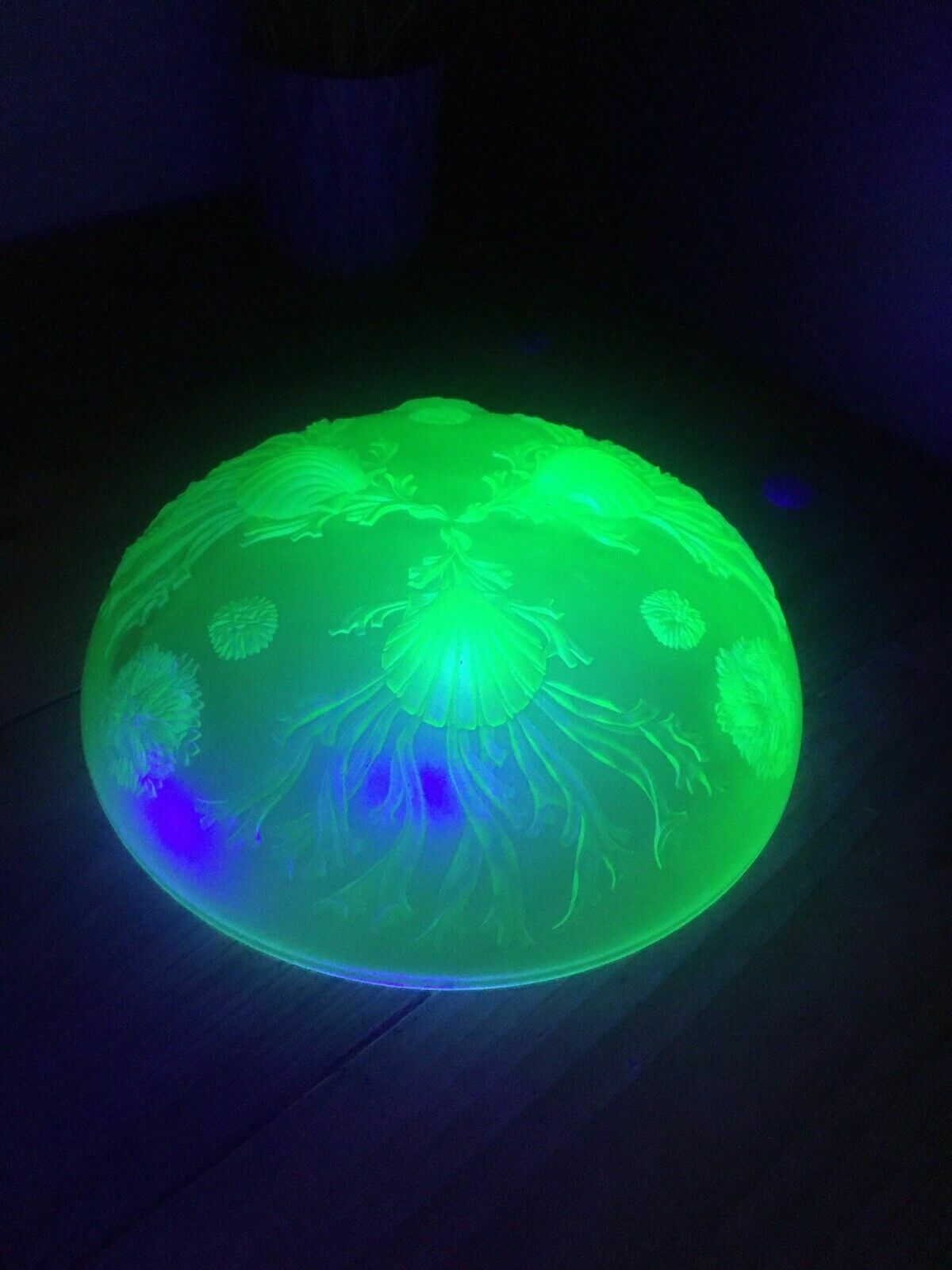 Art Deco Uranium Glass Dessert Bowl Set Seaweed Seashell Verlys Walther & Sohne photo 275.0