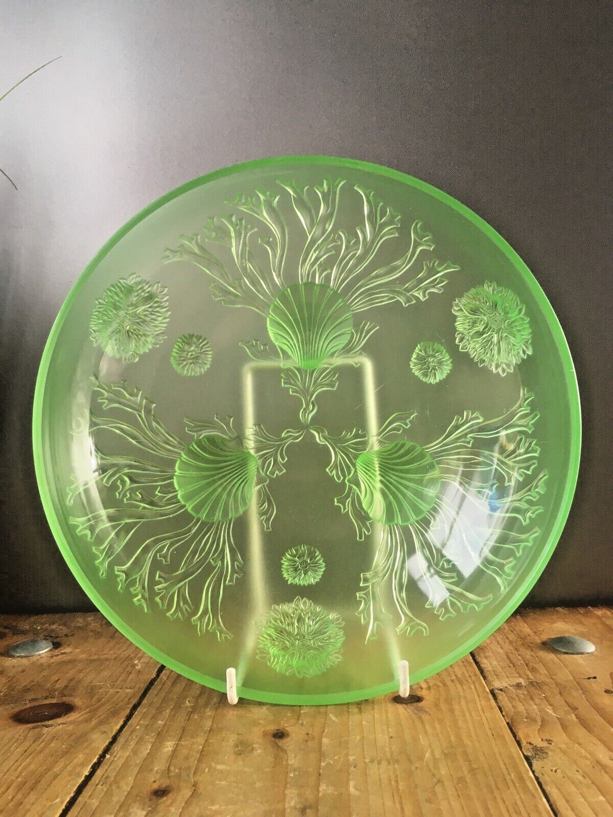 photo furniture Art Deco Uranium Glass Dessert Bowl Set Seaweed Seashell Verlys Walther & Sohne