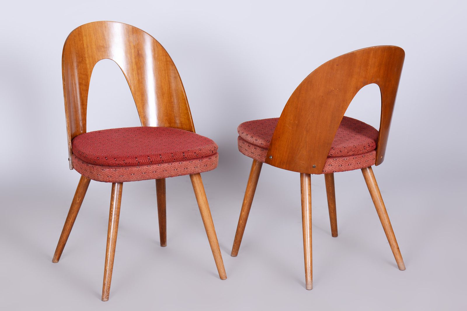 Pair Of Mid Century Chairs Designed By Antonín šuman, 1950s, Czechia photo vinterior