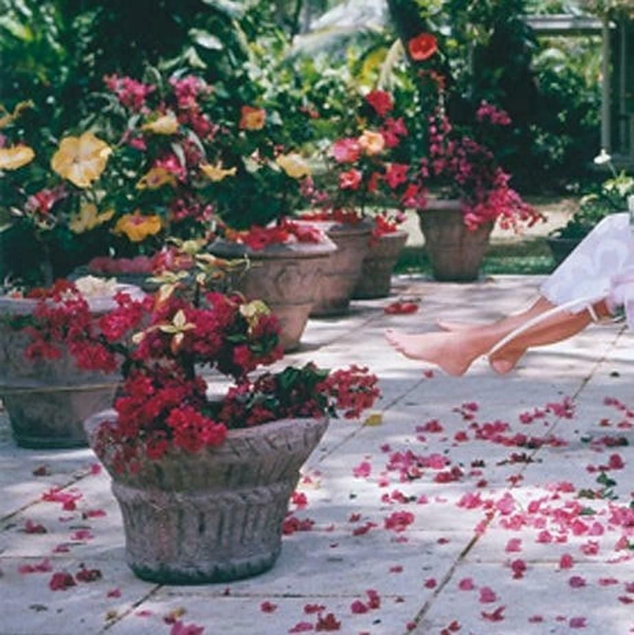 Barbados Bliss By Slim Aarons photo Art