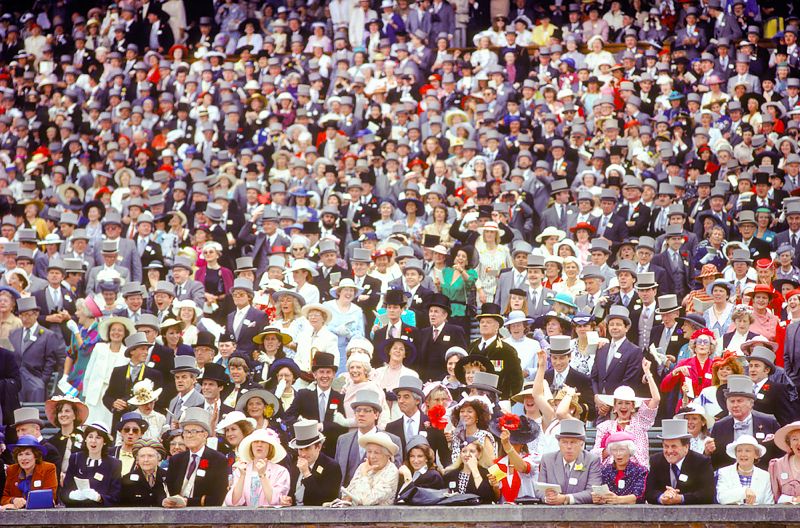 'Royal Ascot Crowd' Homer Sykes Framed In White photo furniture