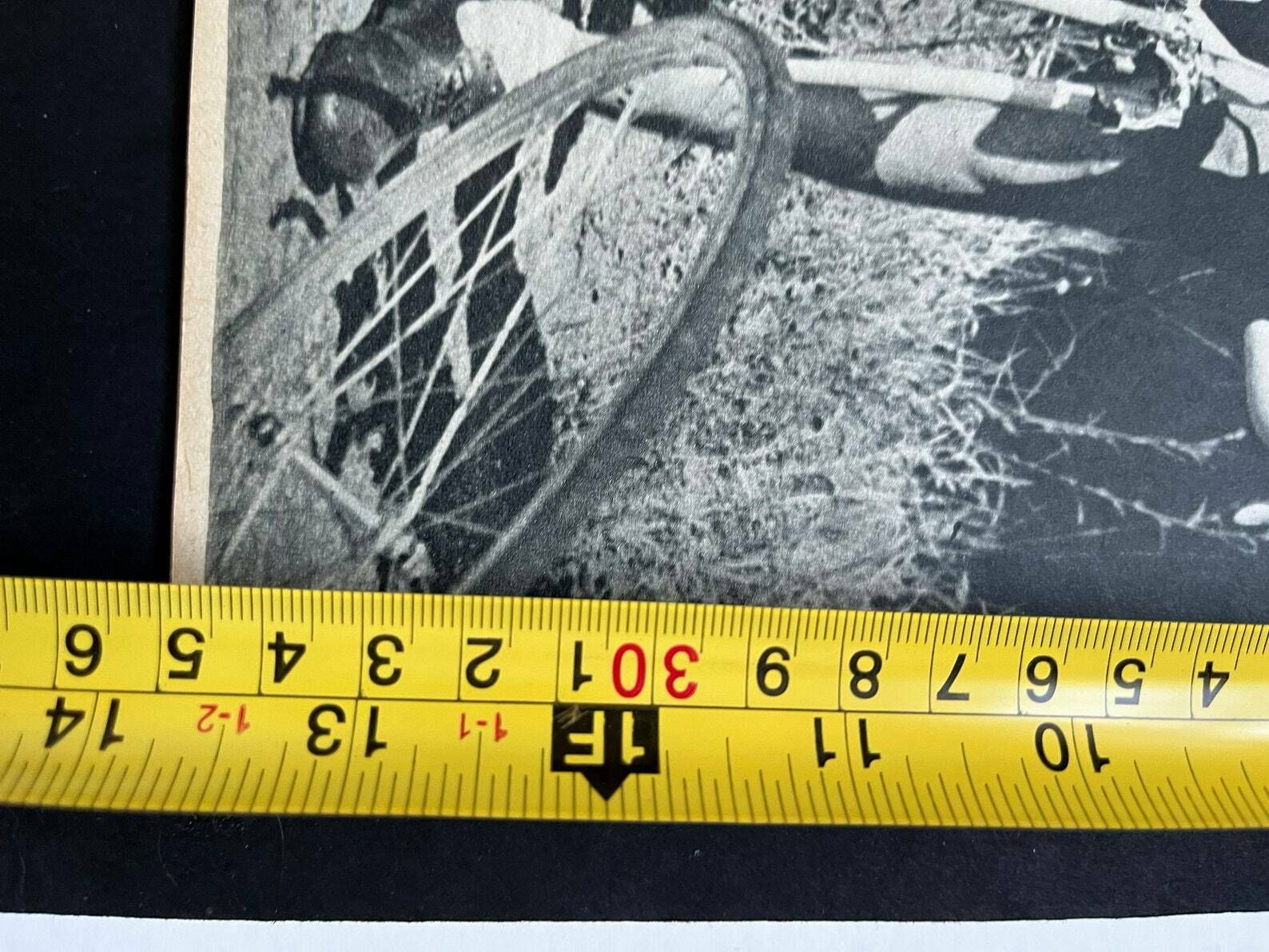 Fausto Coppi Bianchi Original Vintage Cycling Print 1952 Tour De France photo furniture