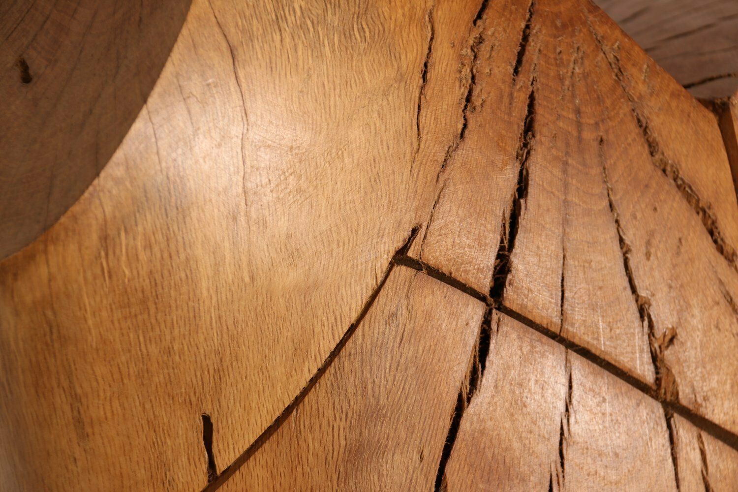 Art Handcrafted Wooden Sculpture ' Torse Torreador ' In Oak  By Artist Claudio Di Placido  France photo