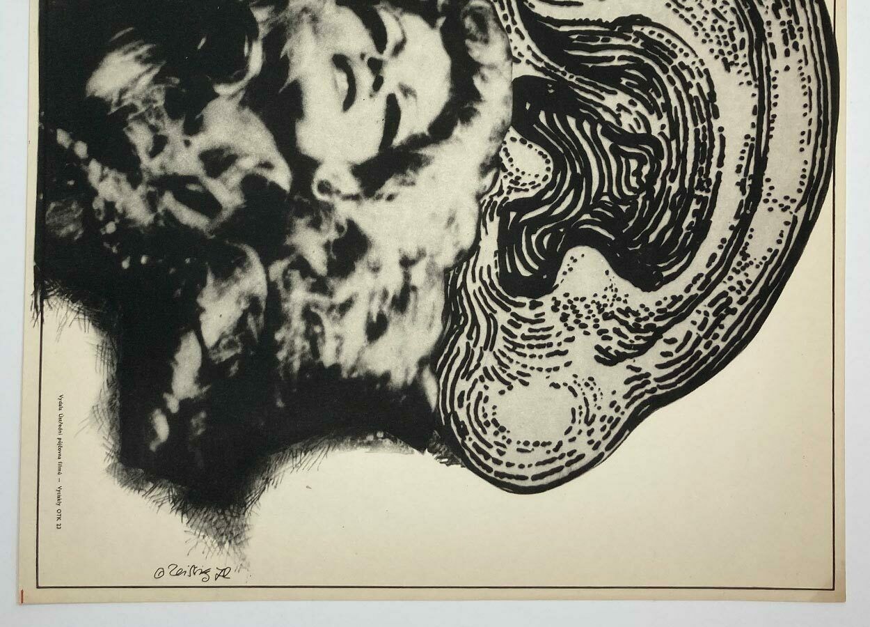 Art Movie Poster, The Woodpecker, Karel Teissig, 1970 photo