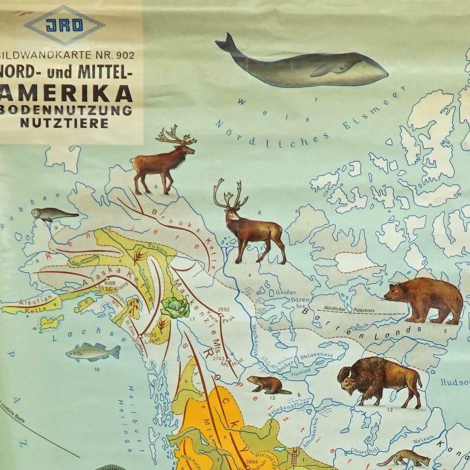 Land Use And Livestock North America Picture Map Wall Chart Poster Mural photo furniture