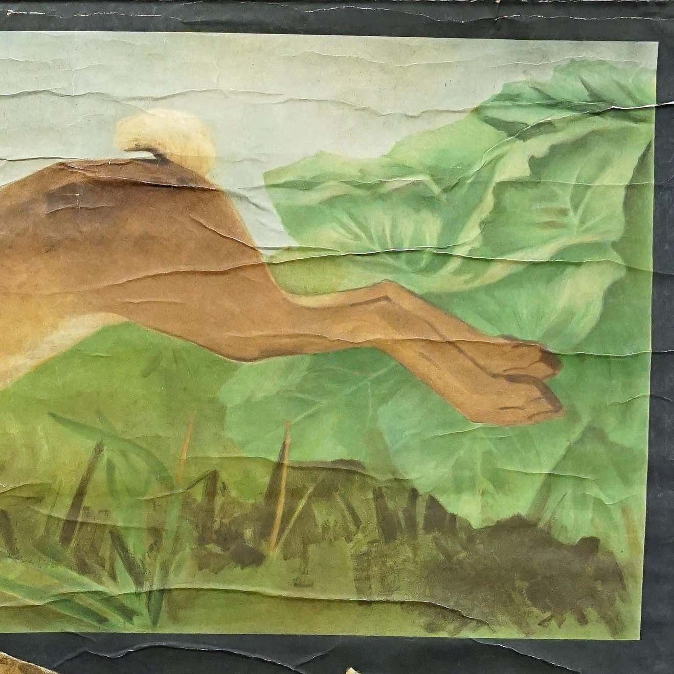 Old Mural Jung Koch Quentell Hare Rabbit Countrylife Rollable Wall Chart photo for sale