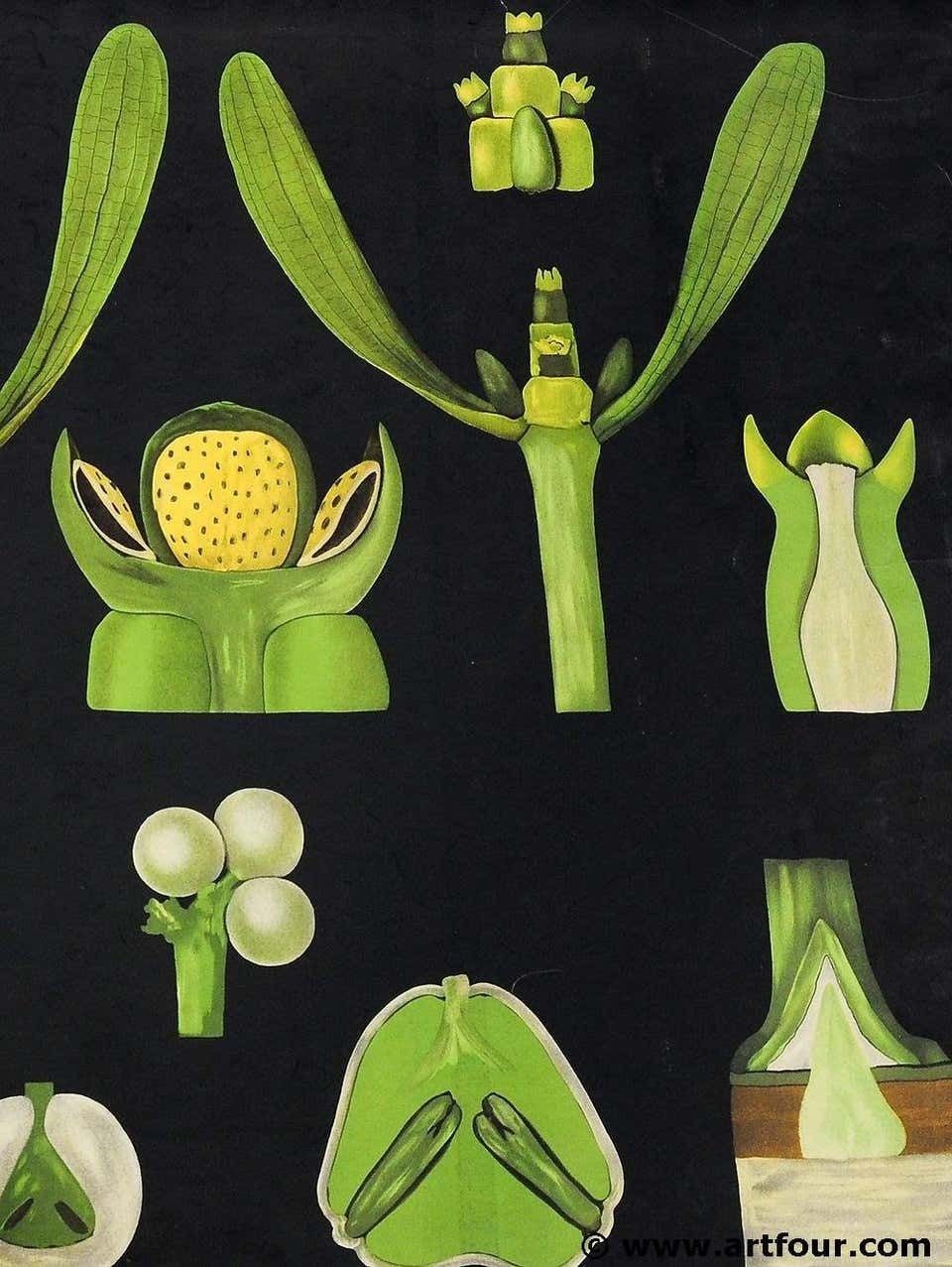 Antique Jung Koch Quentell Wall Chart Poster Mistletoe Christmas Decoratio photo furniture