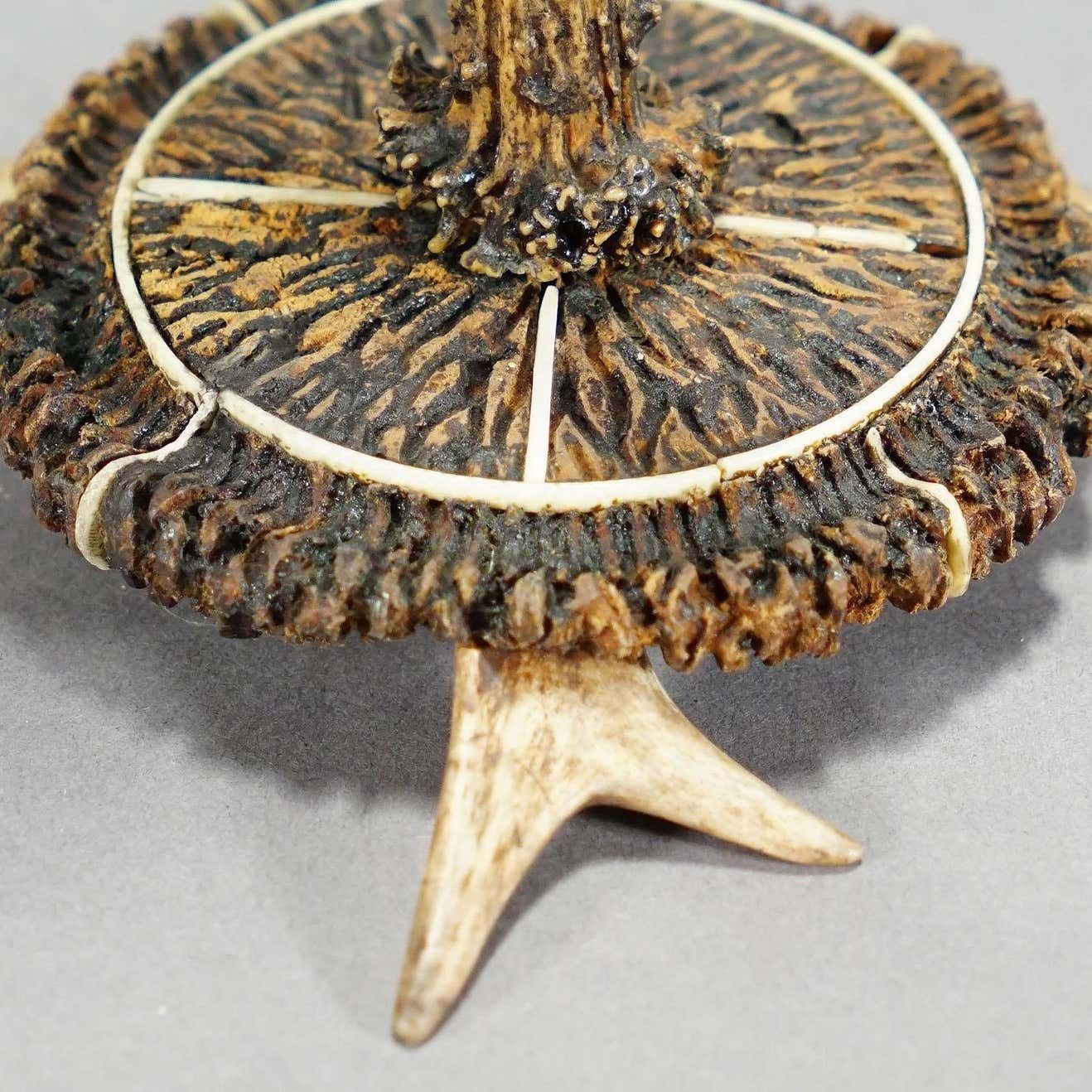 Stylish Cabin Decor Antler Candle Holder With Deer Carving Germany Ca 1900 photo vintage