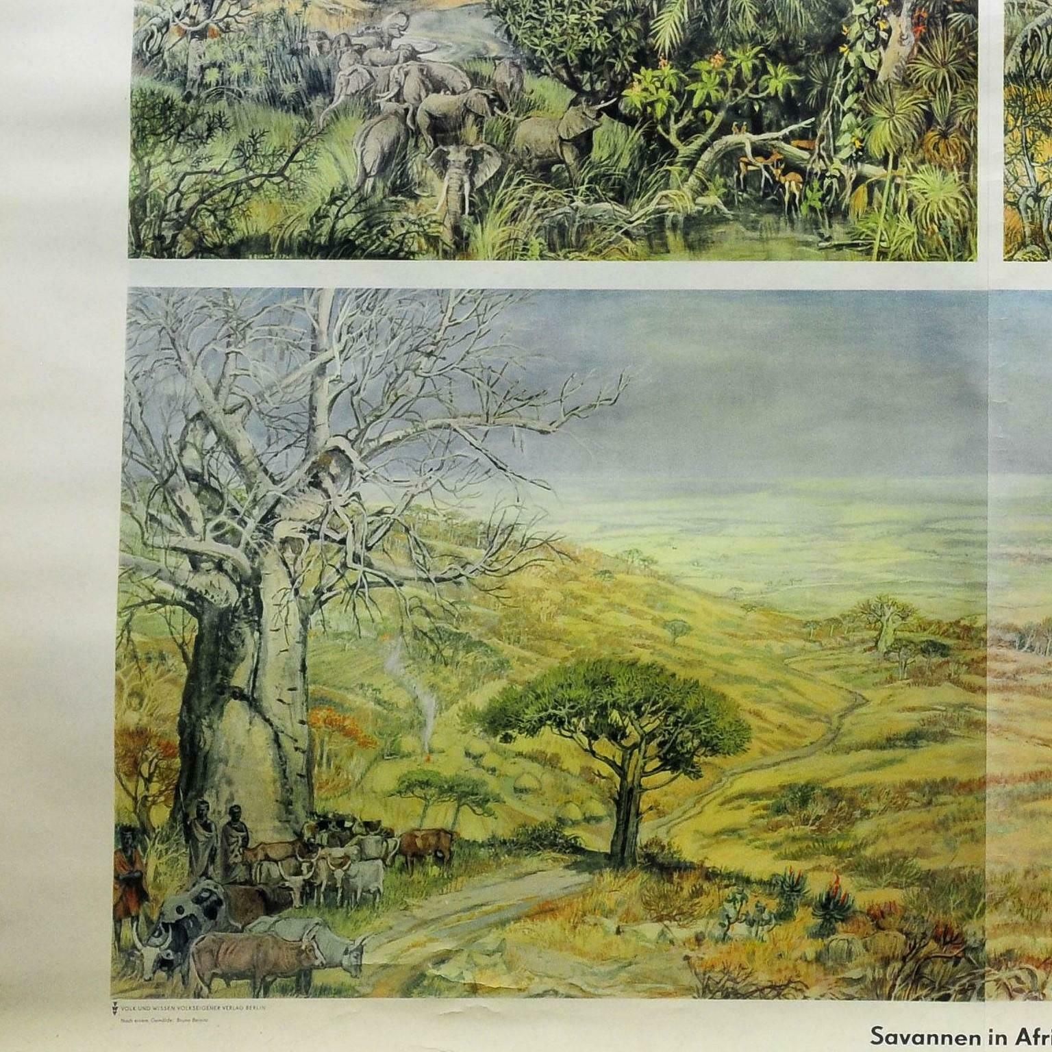 Vintage Cottagecore Rollable Wallchart Africa Savanna Landscape Weather Seasons photo Art