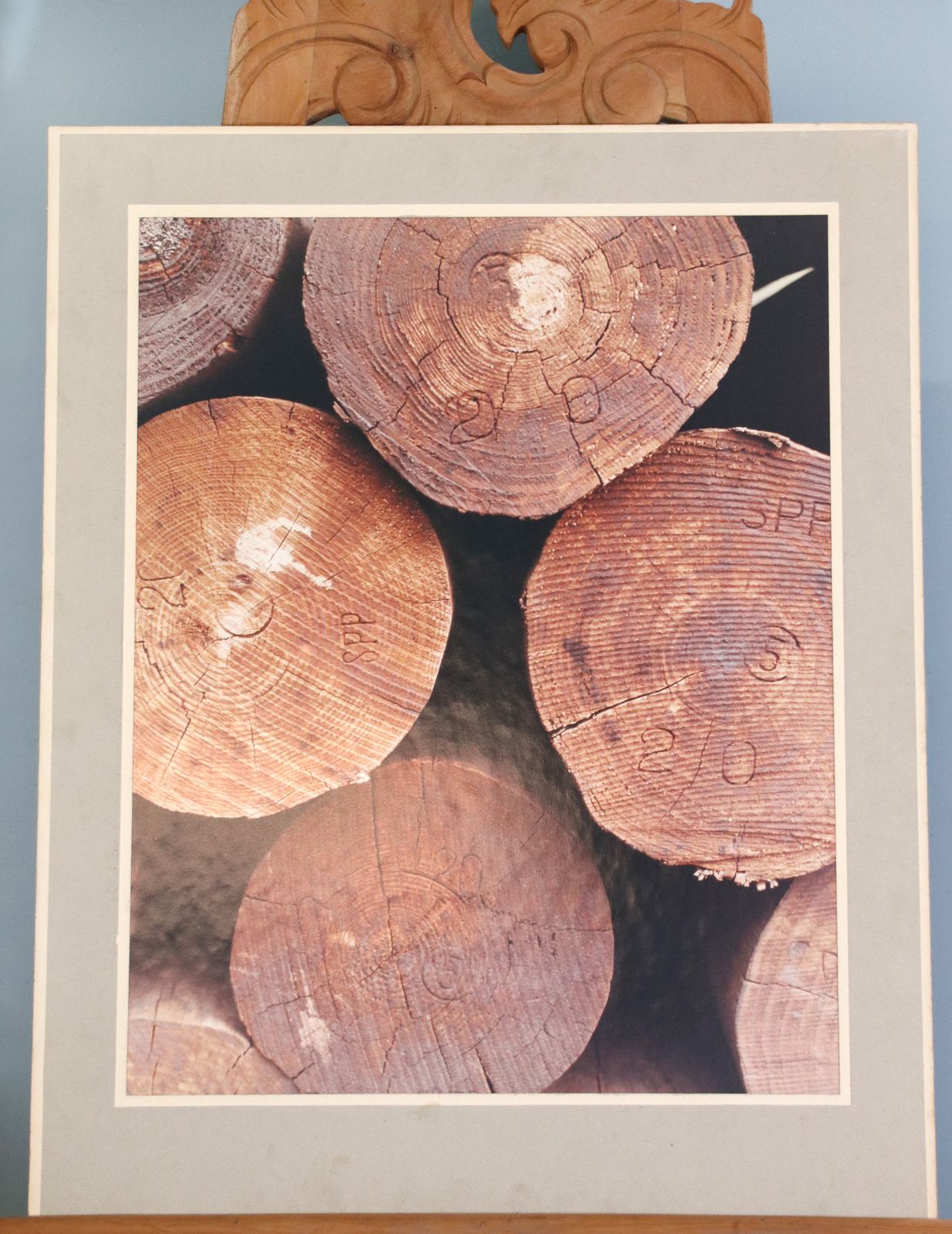 A Wonderful Original Collection Of Photographs Taken By W. Edward Gray  From Kodak Colour Photography Scholarship Of 1963. photo buy