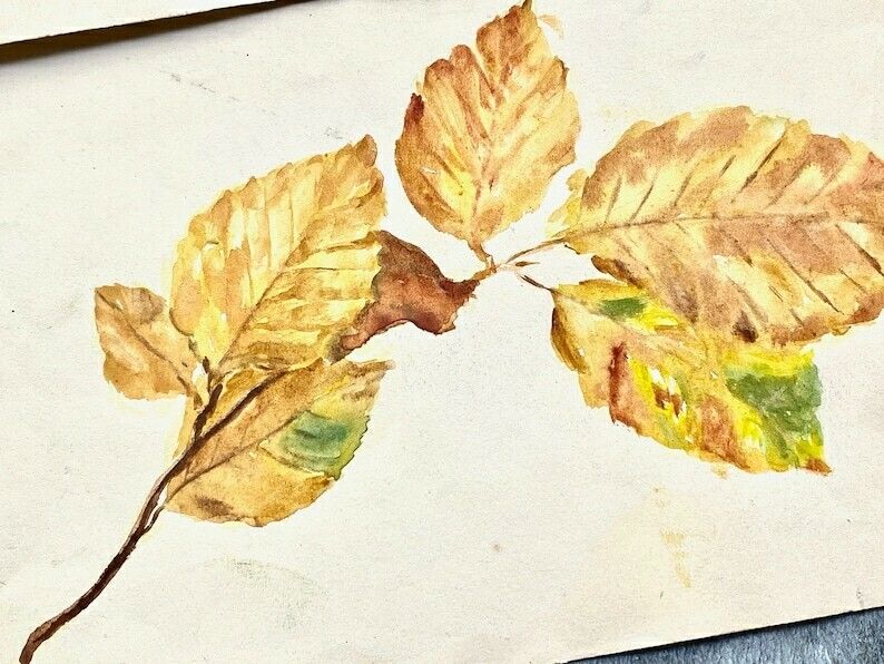 Pair Of Antique Autumnal Leaf Watercolour Paintings   Ethel Francis photo Art
