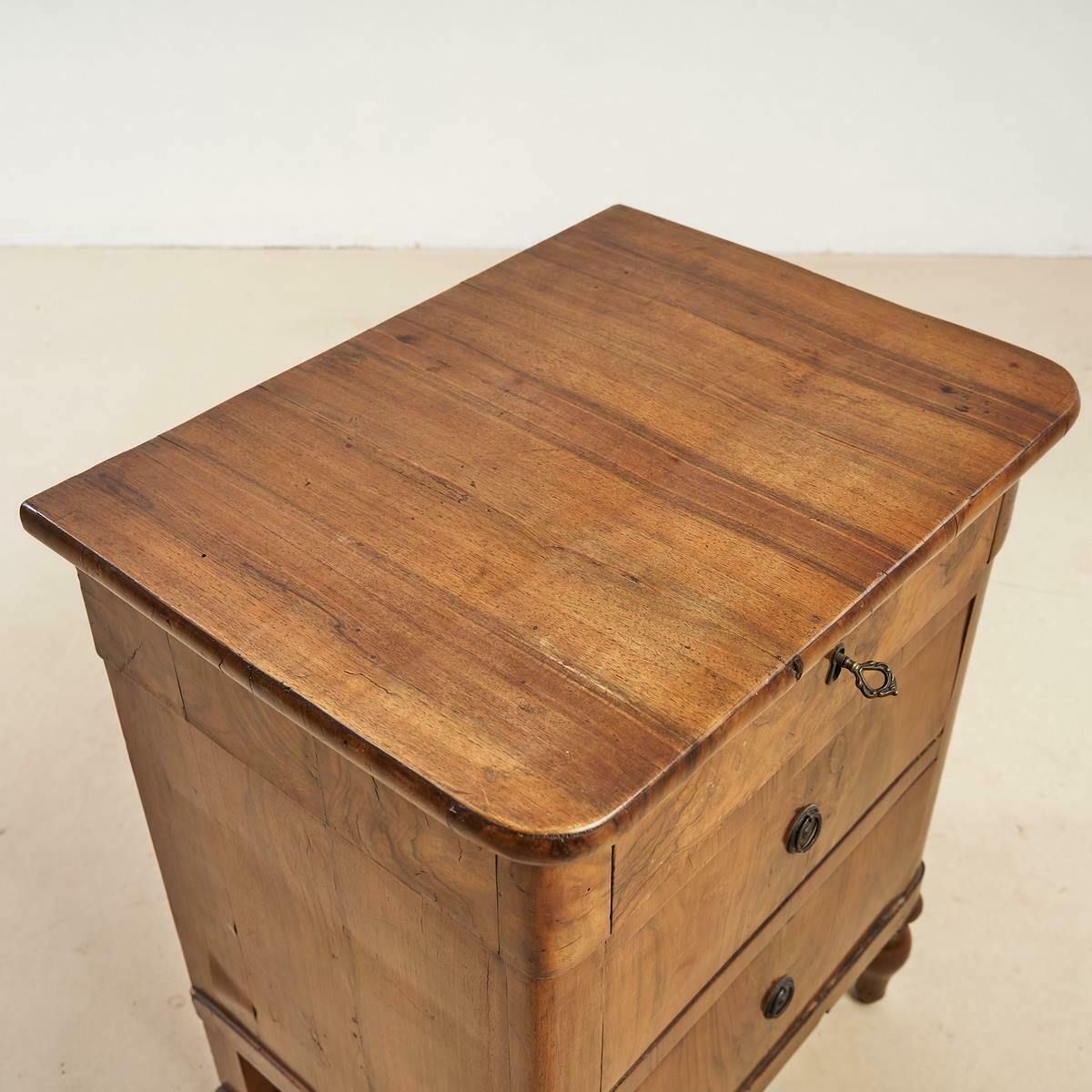 Begin 19e Eeuw Carlo X, 1800s photo vinterior
