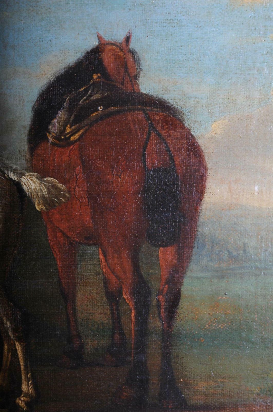 Old Oil Painting Illustration 2 Horses On The Landscape photo 2520.0