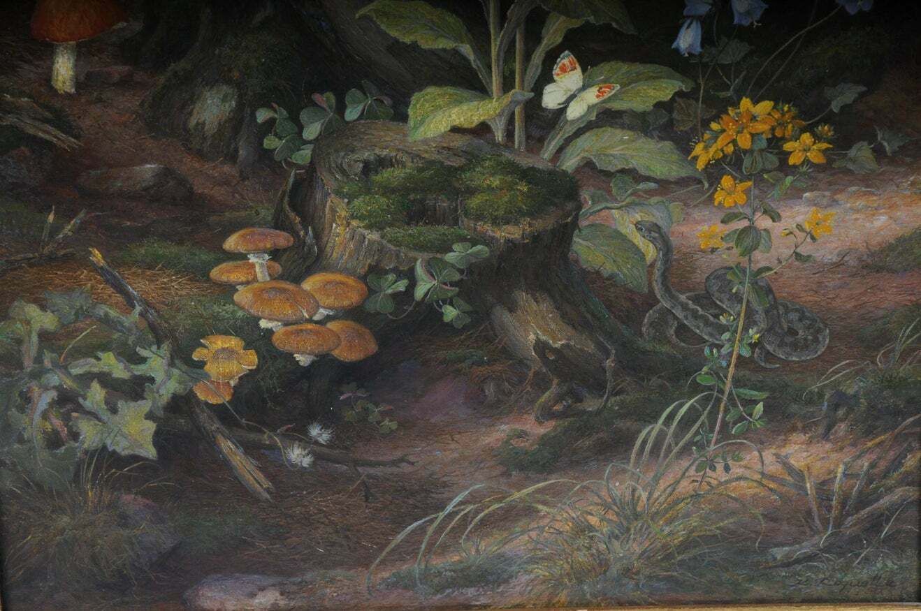 Beautiful Oil Painting Fawn Signed K. Roquette 20th Century photo Art