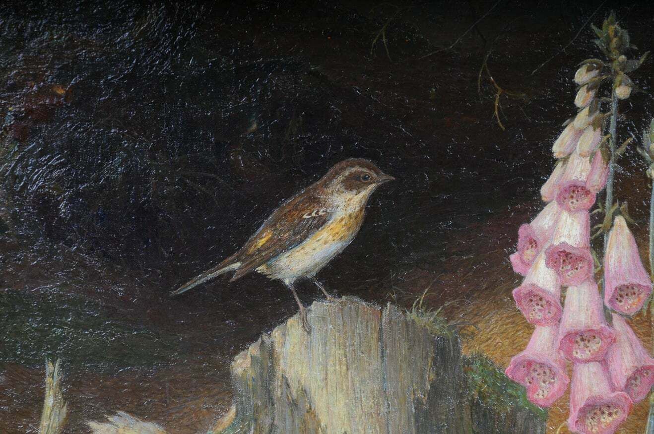Beautiful Oil Painting Fawn Signed K. Roquette 20th Century photo 1159.0