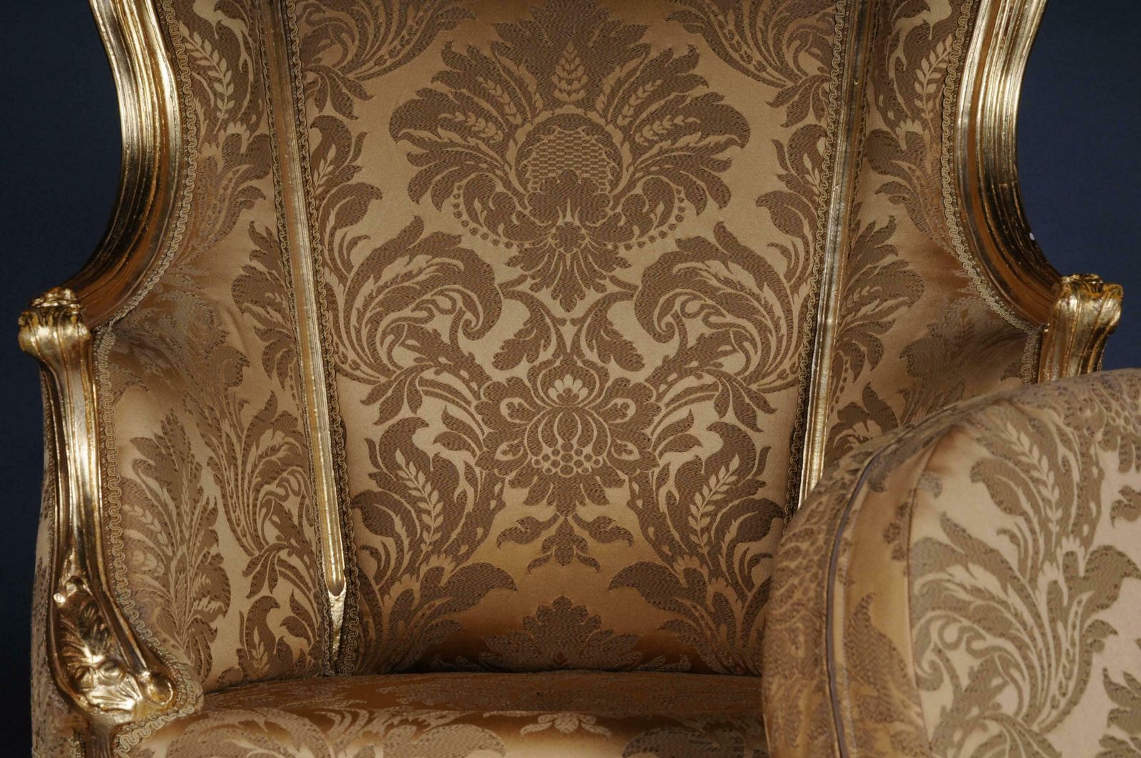 20th Century Louis XV Quinze Bergère Chair, Lounge photo vinterior