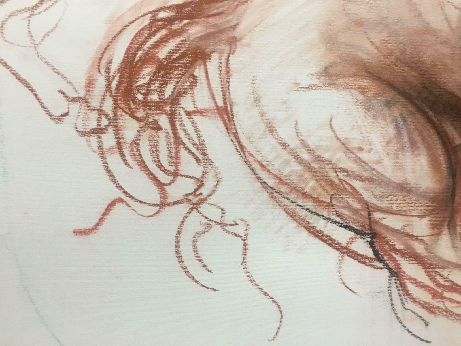 Art Mad Horse Pencil Fat By Giuseppe Colin 1990 photo
