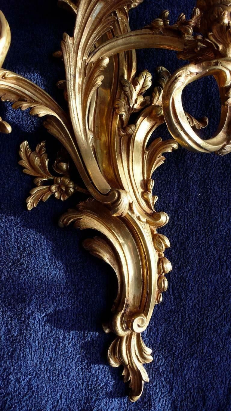 Very Rare Trio Of Gilded Bronze Louis XV Italian Sconces, 1880s photo buy