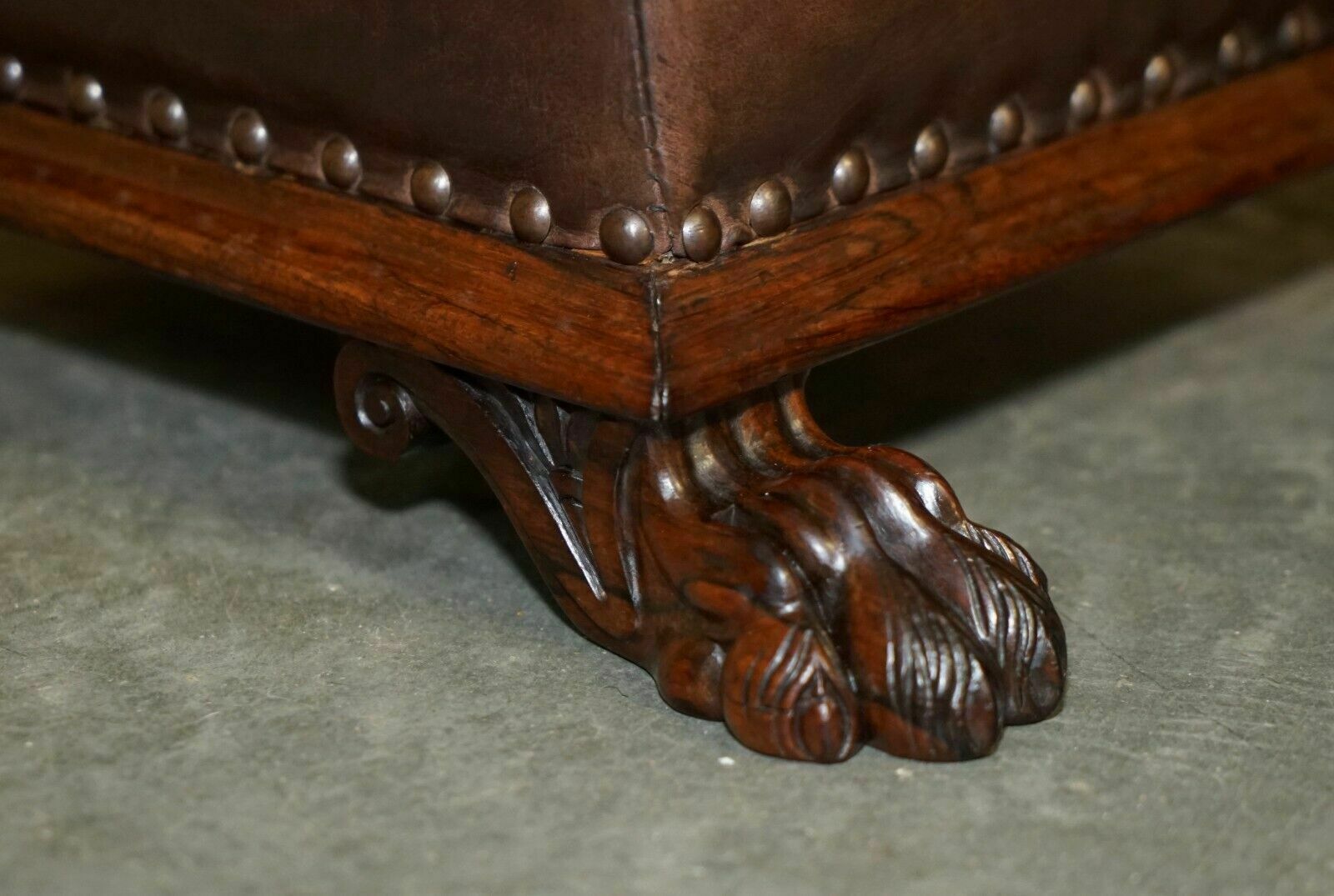 Antique Regency Circa 1815 Brown Leather Rosewood Lion's Hairy Paw Footstool photo buy