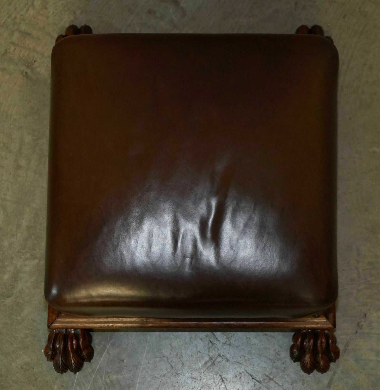 Furniture Antique Regency Circa 1815 Brown Leather Rosewood Lion's Hairy Paw Footstool photo