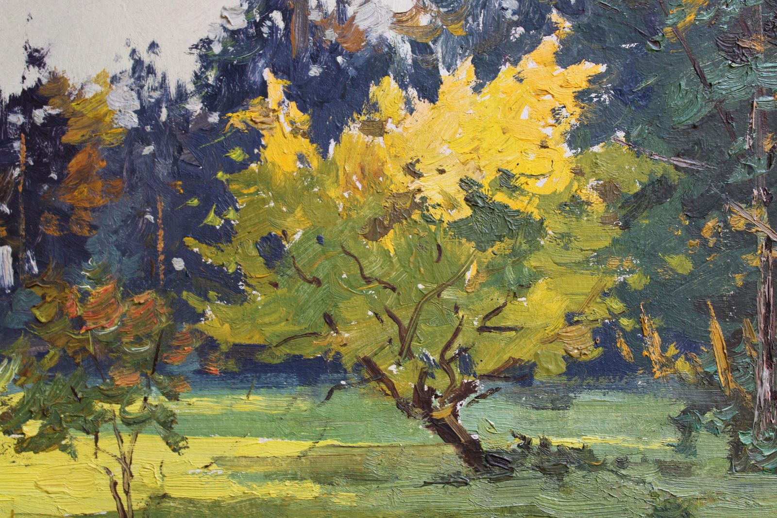 Edgars Vinters Sunny Autumn Forest Edge. 1960, Cardboard, Oil photo vinterior