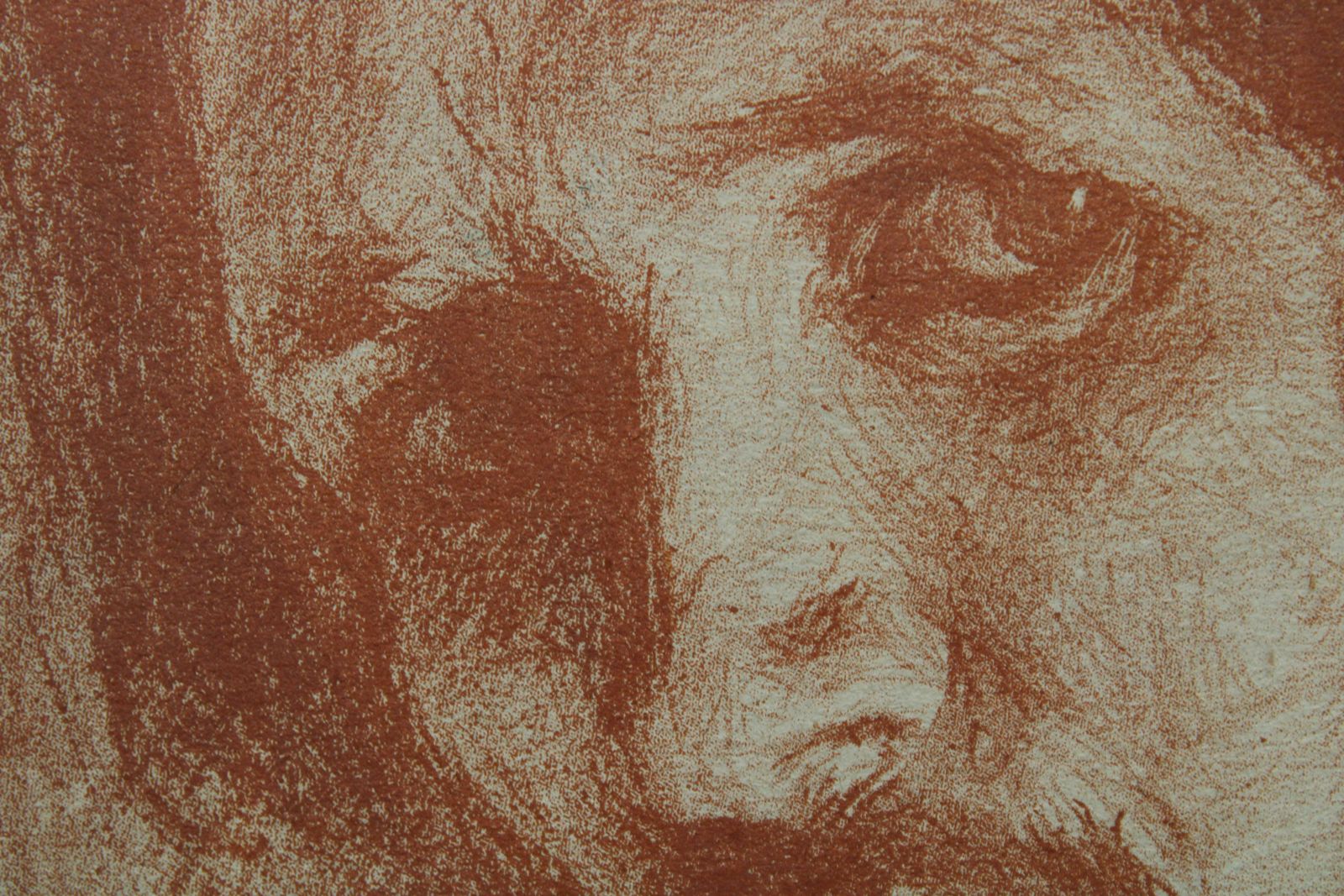 Leon Bakst Portrait Of Philip Andreevich Malavin.1879.Paper, Lithography, With Def 1879 photo buy
