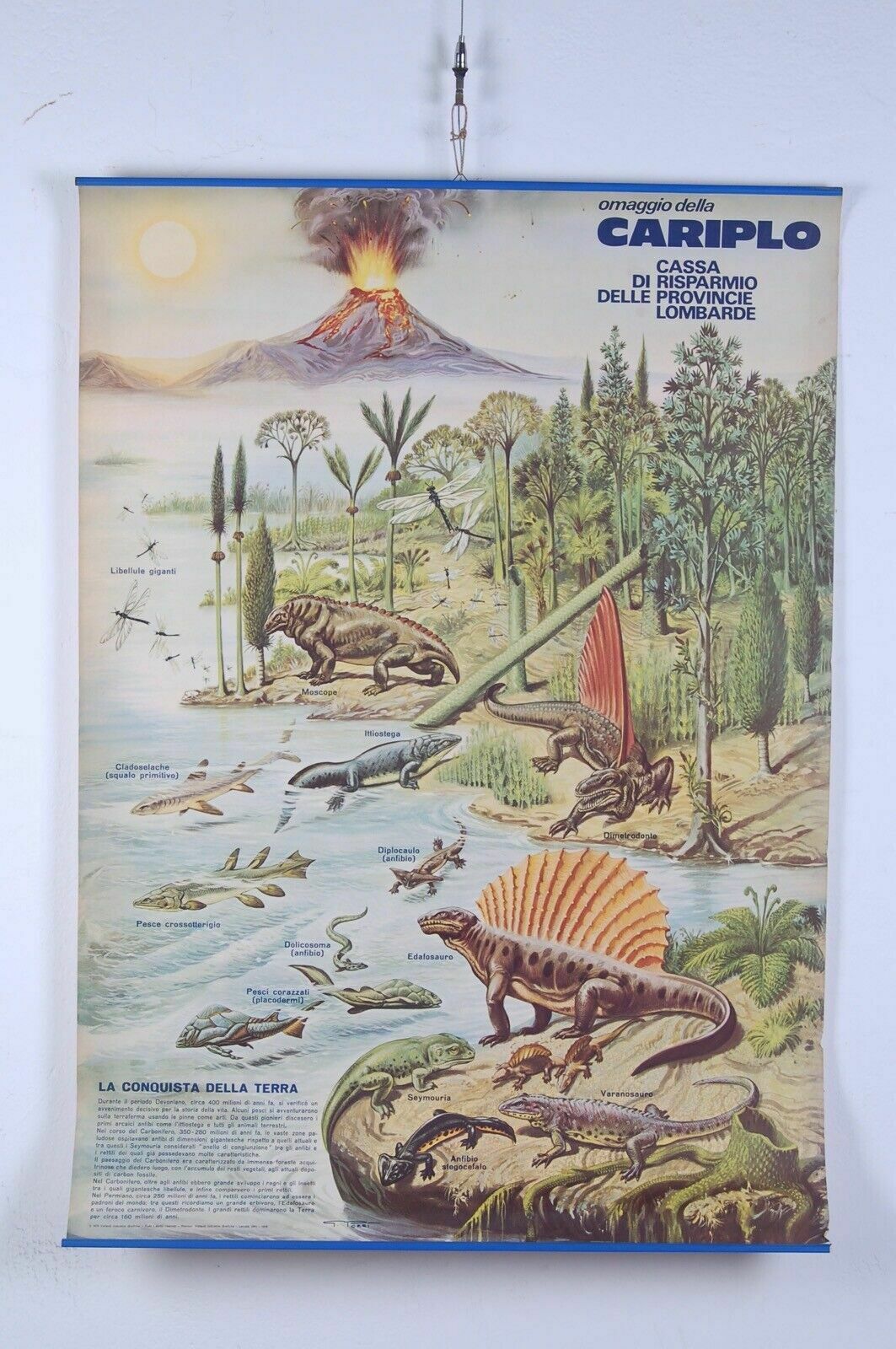 Illustrated Didactic Poster Cariplo Vintage Poster Conquest Of The Earth
