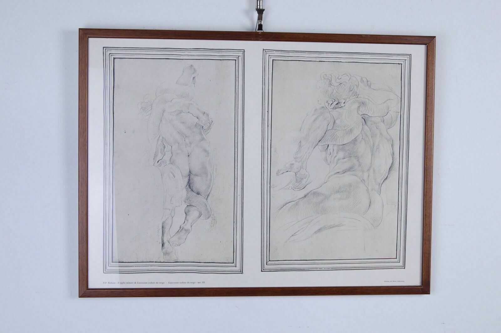 The Drawings Of The Ambrosian In 7 Framed Plates Pp Rubens Ediz Banco Ambrosiano photo for sale