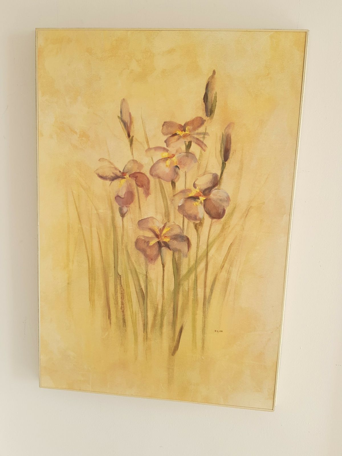 Large, Box Print Of Irises & Poppies