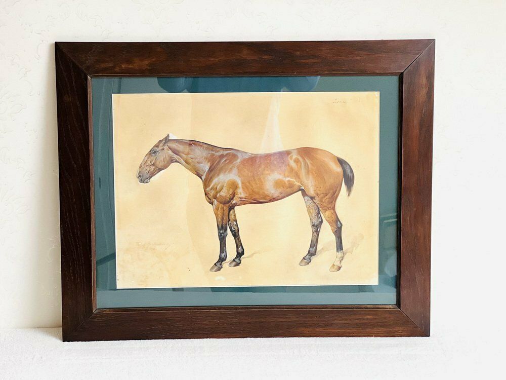 Franz Reichmann, Horse, Jaren 1920, Aquarel, Ingelijst photo furniture
