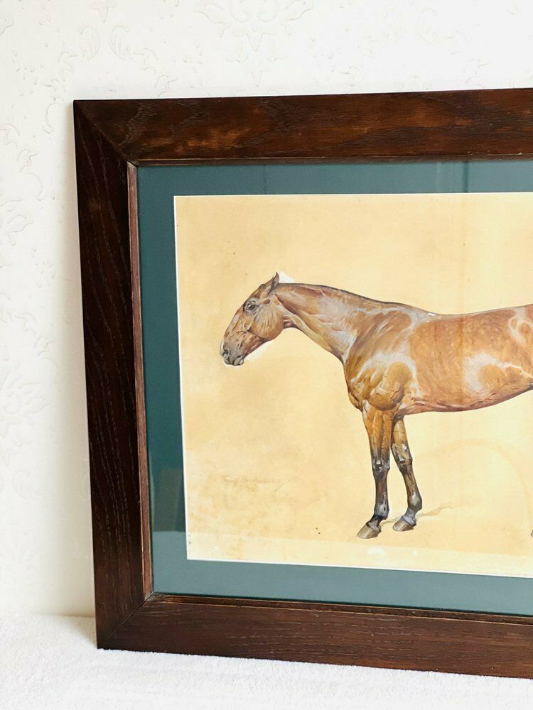 Franz Reichmann, Horse, Jaren 1920, Aquarel, Ingelijst photo for sale